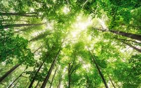 Absence de valeur juridique mais enjeux écologiques d’une ZNIEFF !